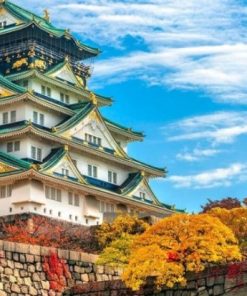 TOUR NHẬT BẢN 6N5Đ( TỰ TÚC)